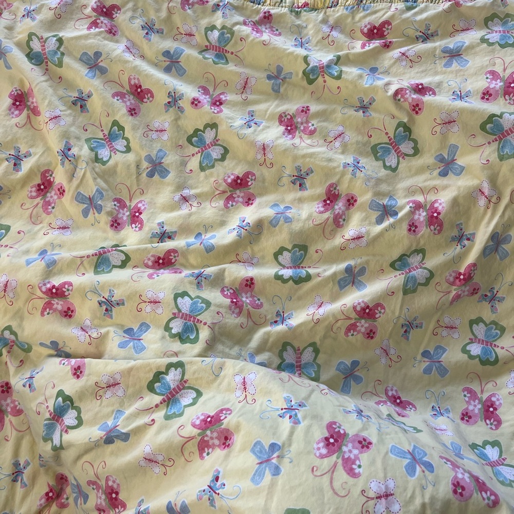 Kids Twin size Pottery Barn Duvet along with matching pillow sham